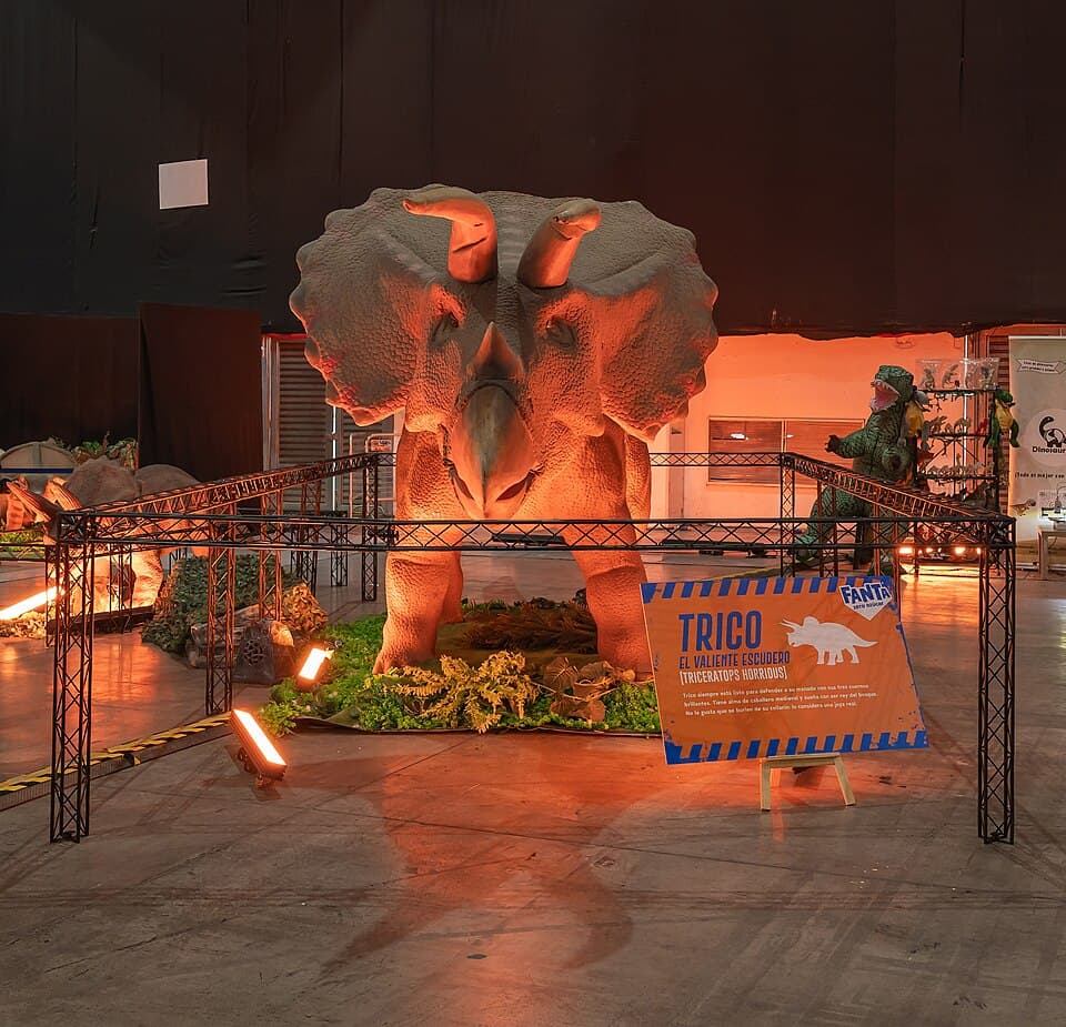 Triceratops horridus A74002120250204.jpg