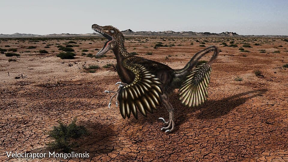 Velociraptor Mongoliensis Painting.jpg